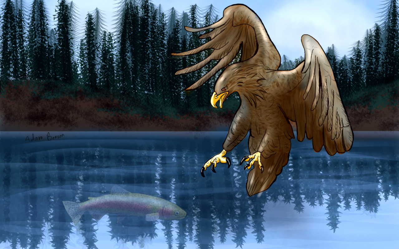 Eagle on the Lake